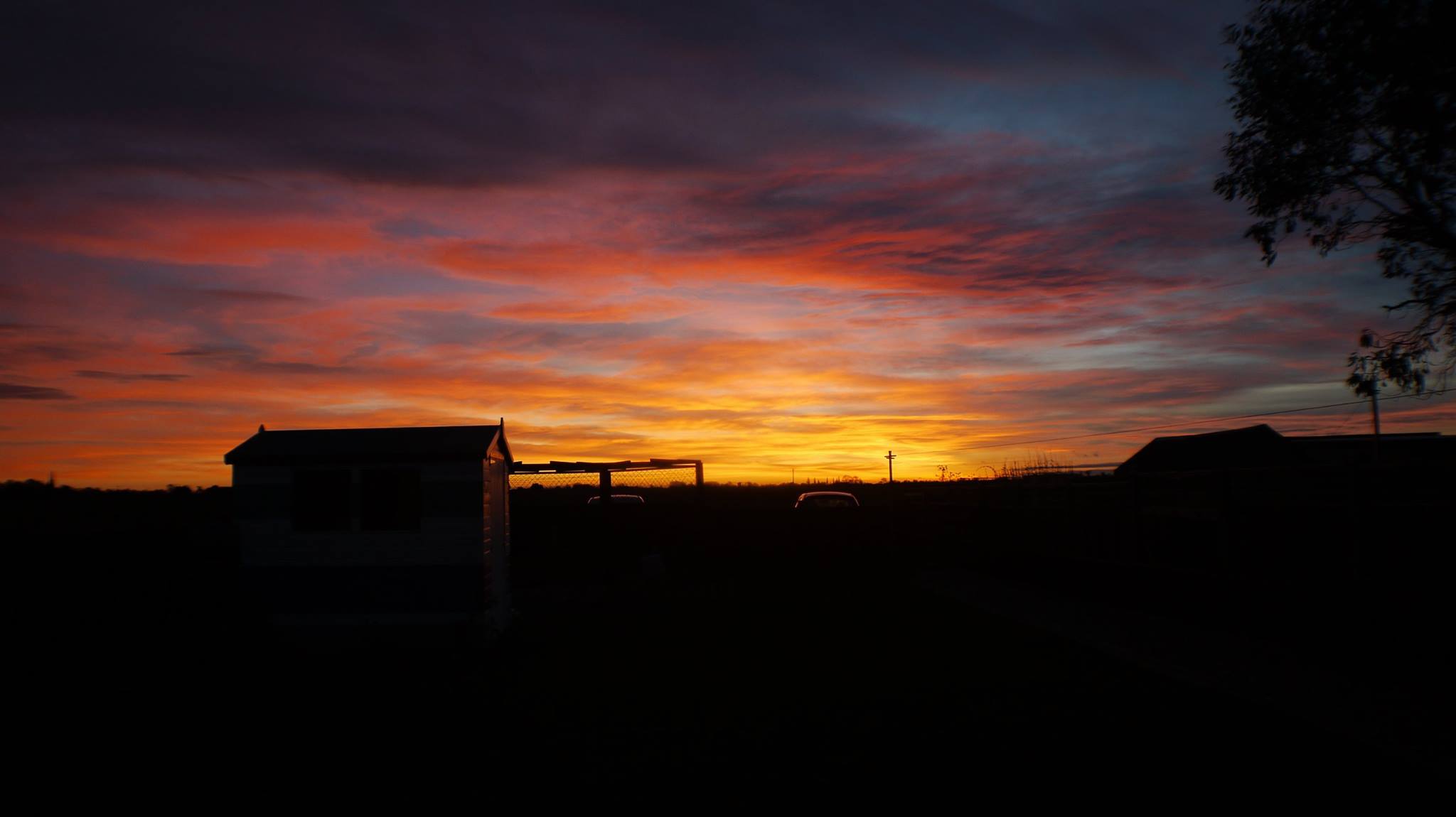 10931664_10155002318205012_7203838002578758173_o