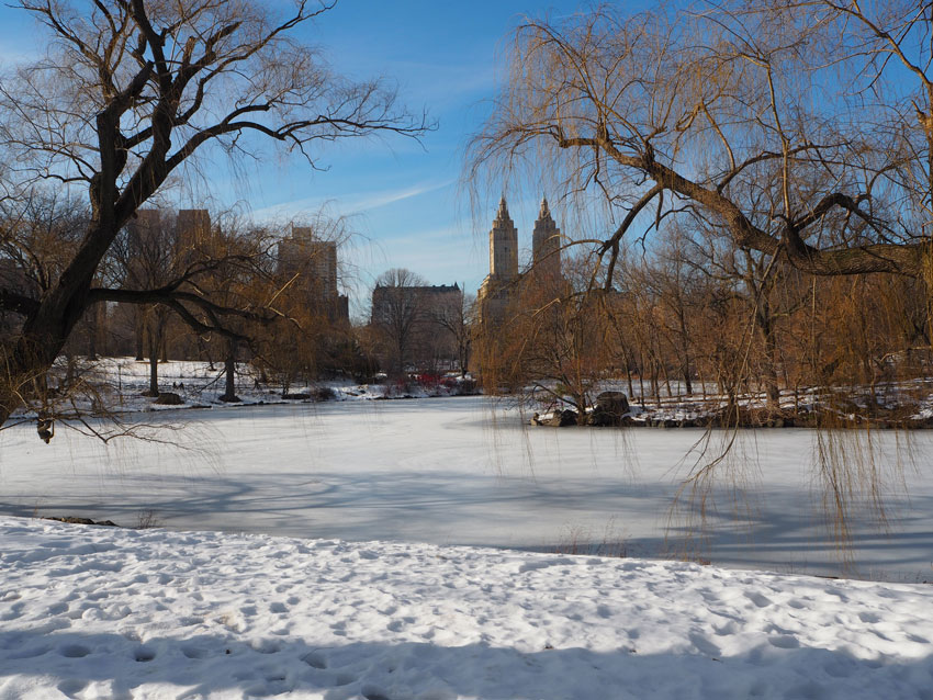 central-park-lake-frozen