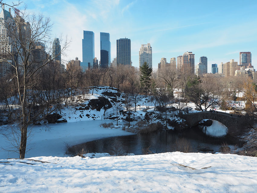 central-park-snow-ice-lake
