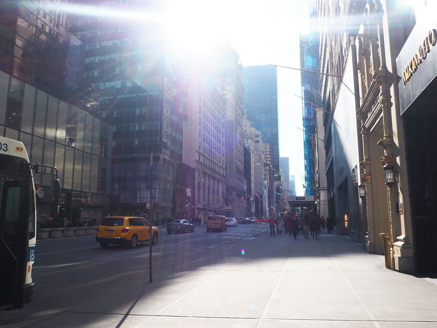 sunshine-on-fifth-avenue