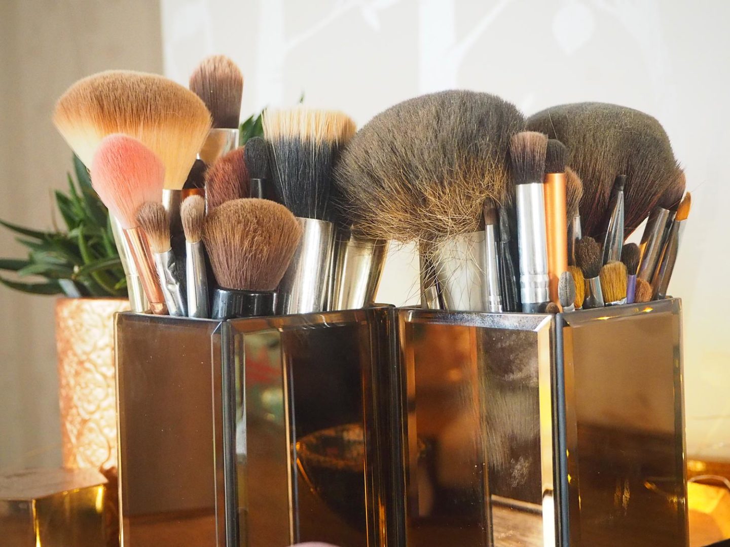 Makeup Brush Collection