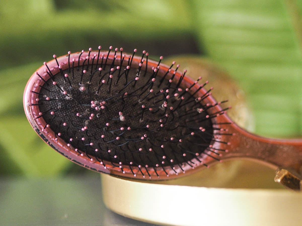 November 2019 Empties The Wet Brush